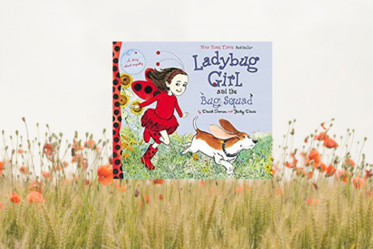 Lady bug
